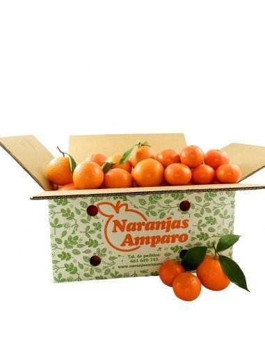 Boîte mixte. Oranges et mandarines premium